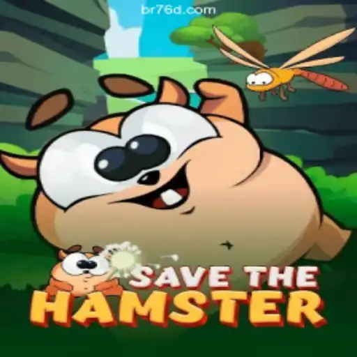 Exploring SavetheHamster: A Thrilling Adventure with Rapid Bets and Real Returns
